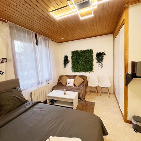 Magnifique Studio De 20M2 Pour 1 A 4 Personnes ليه روس المظهر الخارجي الصورة