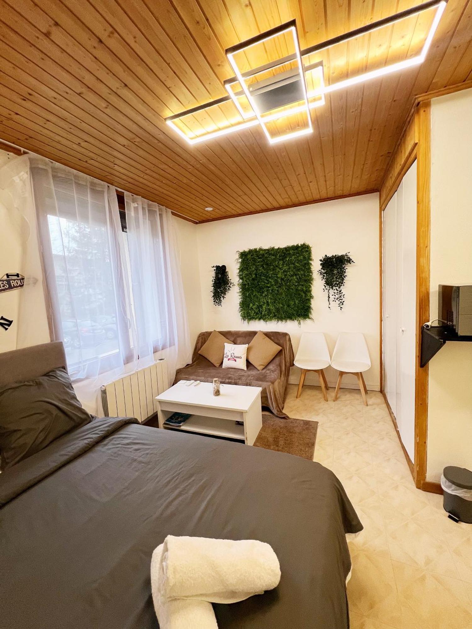 Magnifique Studio De 20M2 Pour 1 A 4 Personnes ليه روس المظهر الخارجي الصورة